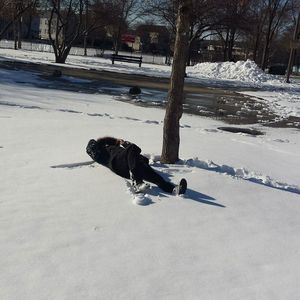 Meet your Posher, Marlen